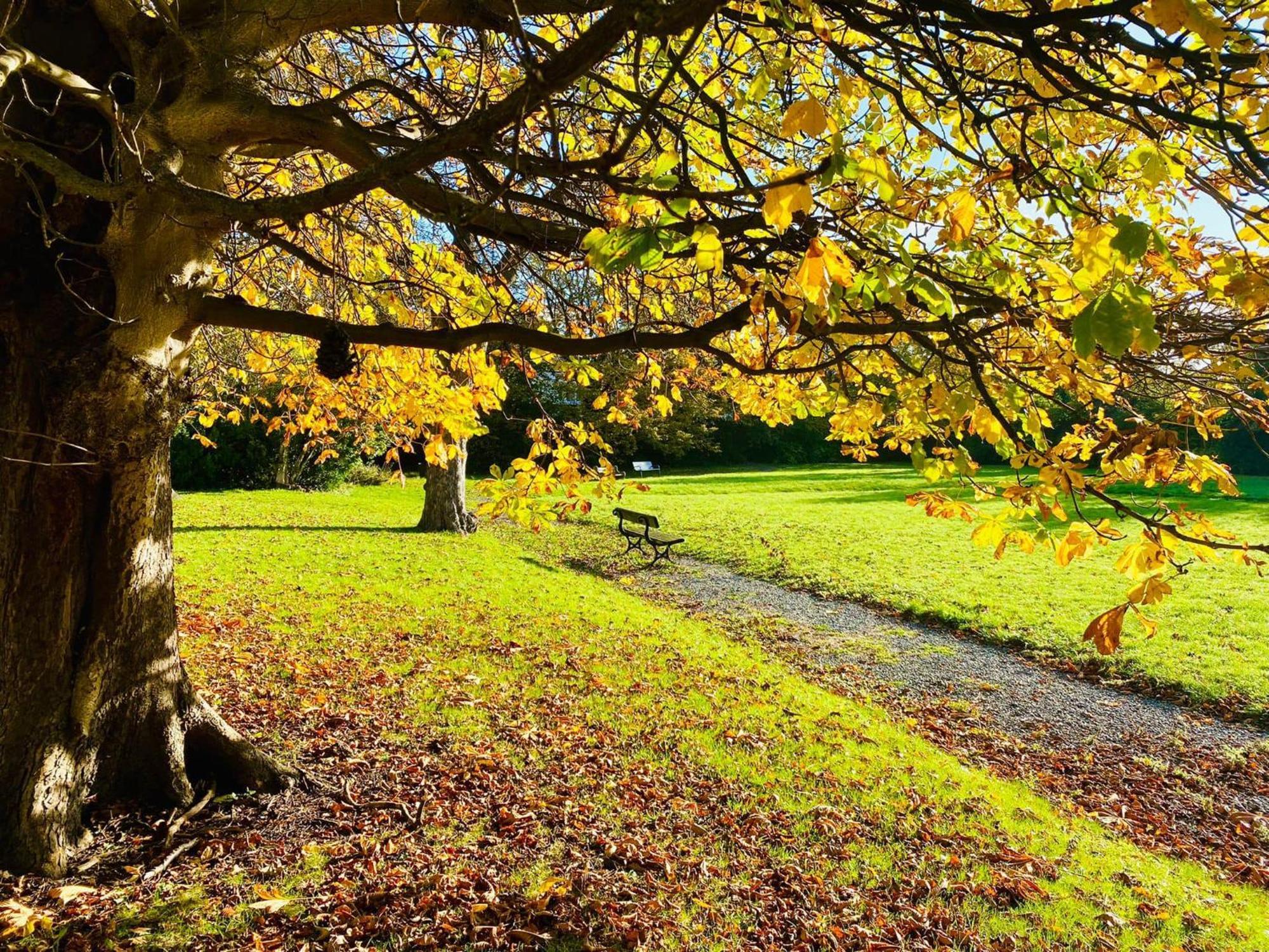 Endsleigh Park Hotel Kingston upon Hull Zewnętrze zdjęcie